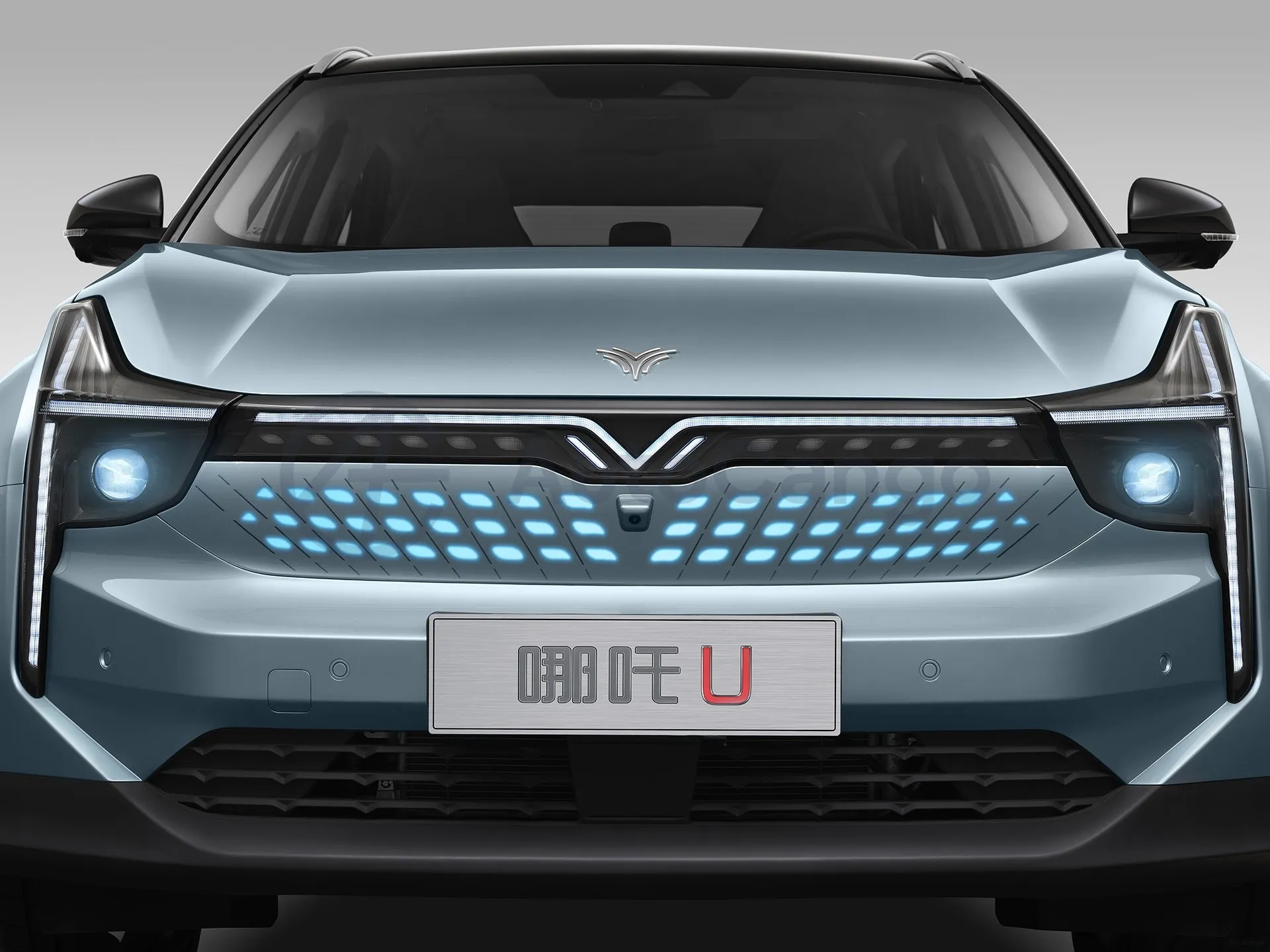 2023 Neta U BEV 55.8KWH,autocango,china used car exporter,china ev exporter,chinese used car exporter,chinese used ev exporter