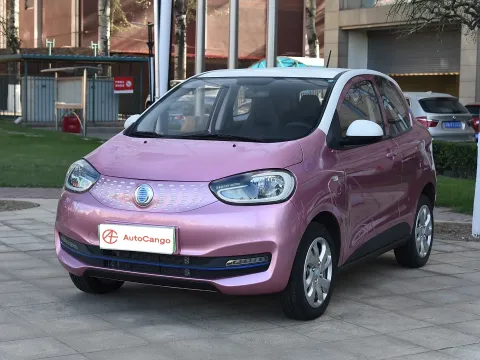 2021 Zedriv GC2 BEV 36.2KWH