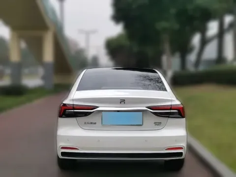2021 Rising Auto ER6 BEV 69.9KWH