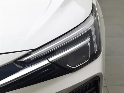 2021 Rising Auto ER6 BEV 69.9KWH