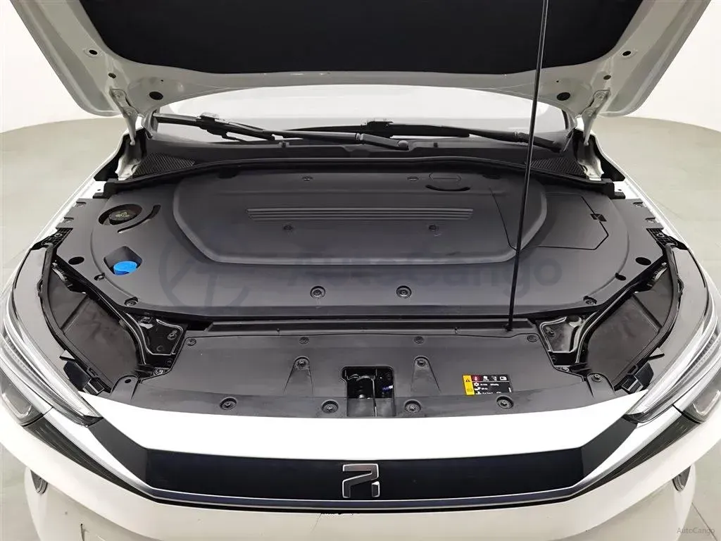 2021 Rising Auto ER6 BEV 69.9KWH,autocango,china used car exporter,china ev exporter,chinese used car exporter,chinese used ev exporter