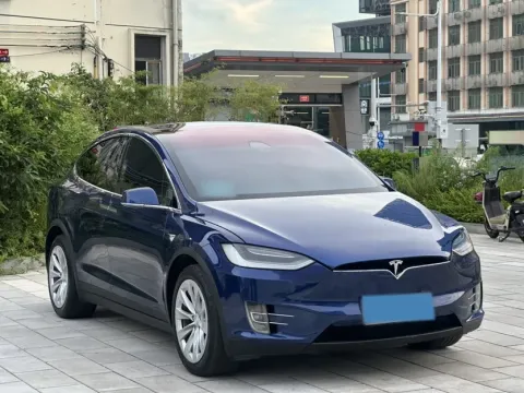 2019 Tesla Model X BEV 100KWH