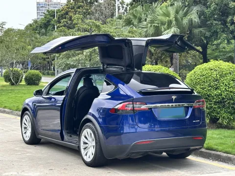 2019 Tesla Model X BEV 100KWH