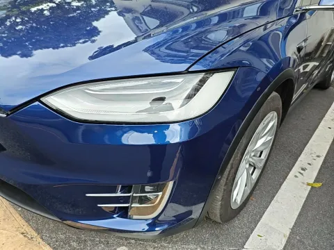 2019 Tesla Model X BEV 100KWH