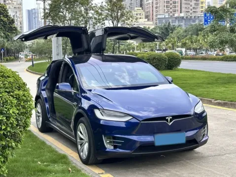 2019 Tesla Model X BEV 100KWH
