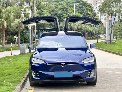 2019 Tesla Model X BEV 100KWH