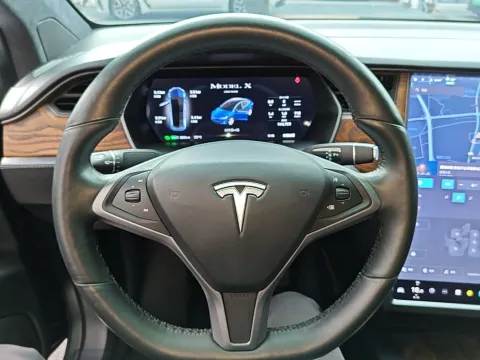2019 Tesla Model X BEV 100KWH