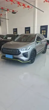 2021 HAVAL RABBIT,autocango,china used car exporter,china ev exporter,chinese used car exporter,chinese used ev exporter