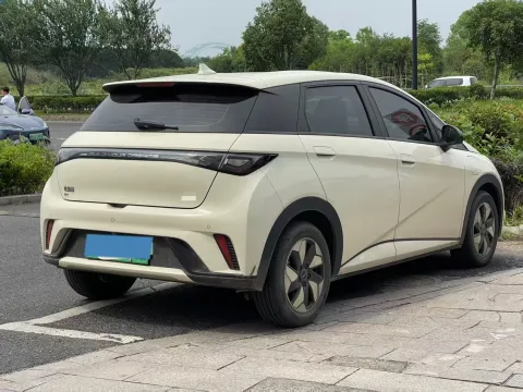 2025 BYD Dolphin BEV 44.928KWH,autocango,china used car exporter,china ev exporter,chinese used car exporter,chinese used ev exporter
