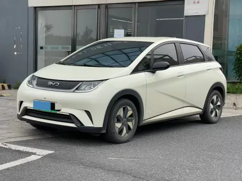 2025 BYD Dolphin BEV 44.928KWH,autocango,china used car exporter,china ev exporter,chinese used car exporter,chinese used ev exporter