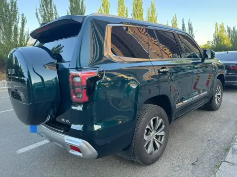2022 Beijing BJ60 2.0T 267HP L4 8AT