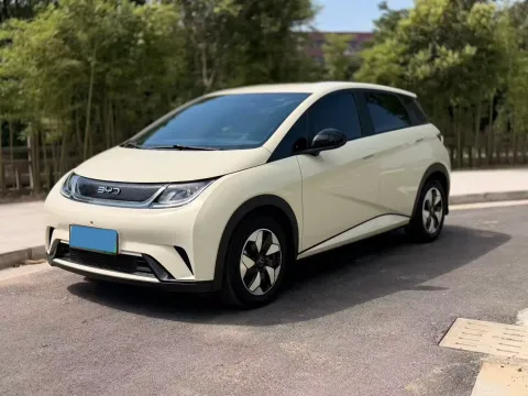 2025 BYD DOLPHIN,autocango,china used car exporter,china ev exporter,chinese used car exporter,chinese used ev exporter