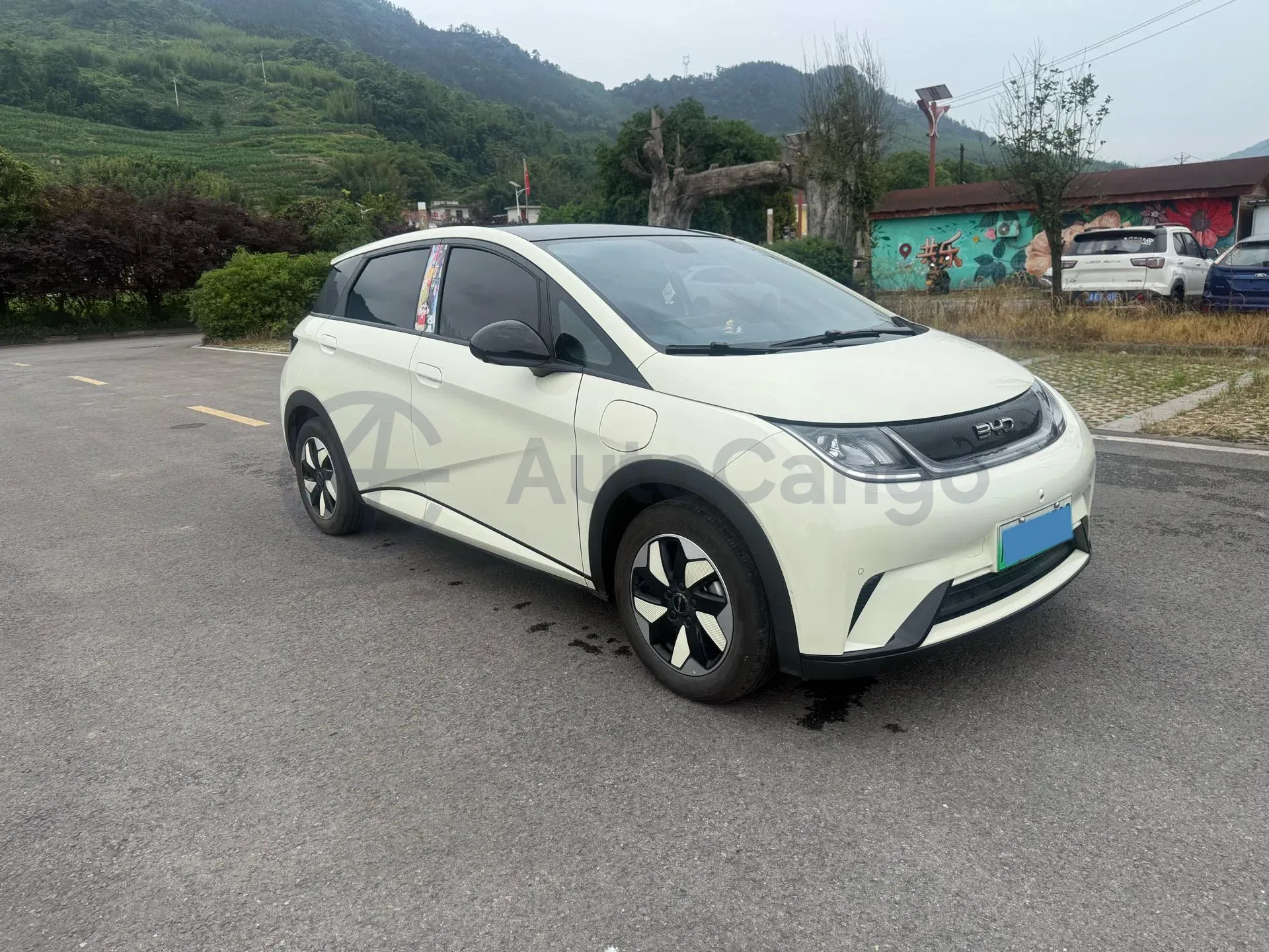 2024 BYD Dolphin BEV 44.928KWH,autocango,china used car exporter,china ev exporter,chinese used car exporter,chinese used ev exporter