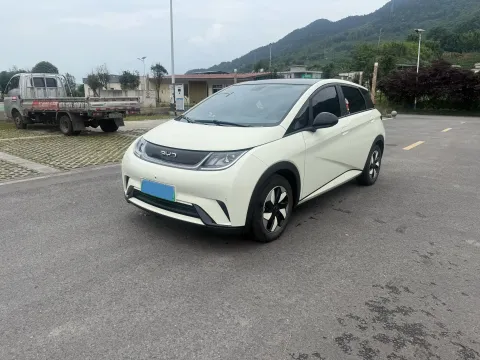 2024 BYD DOLPHIN,autocango,china used car exporter,china ev exporter,chinese used car exporter,chinese used ev exporter