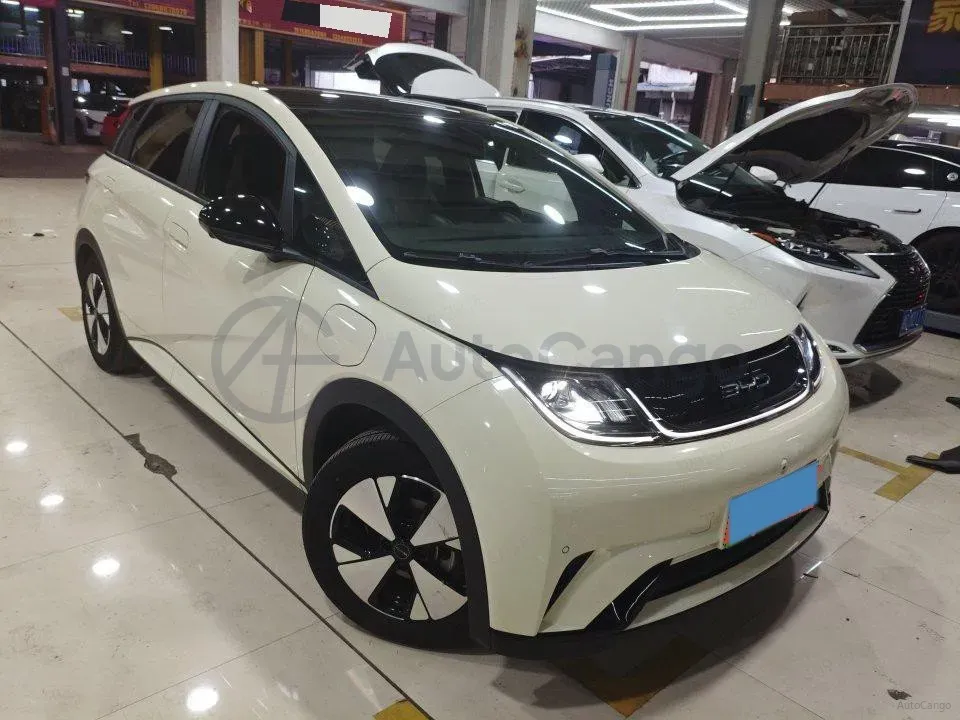 2023 BYD Dolphin BEV 44.928KWH,autocango,china used car exporter,china ev exporter,chinese used car exporter,chinese used ev exporter