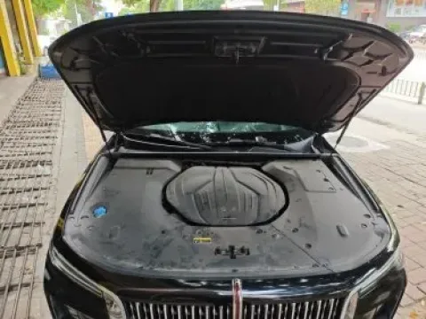 2020 HongQi H9 2.0T 252HP L4 7DCT