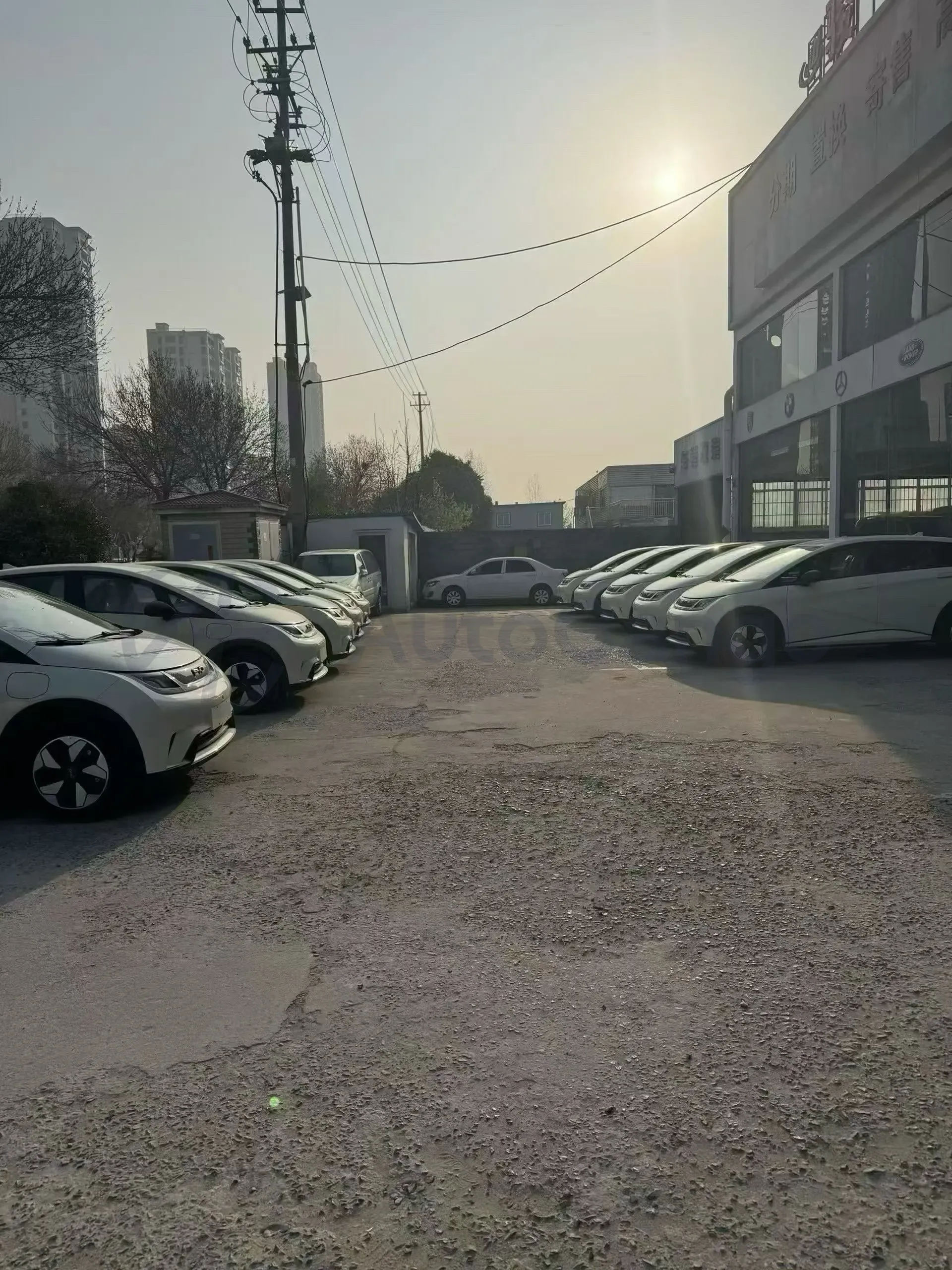 2025 BYD Dolphin BEV 44.928KWH,autocango,china used car exporter,china ev exporter,chinese used car exporter,chinese used ev exporter