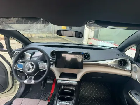 2025 BYD Dolphin BEV 44.928KWH