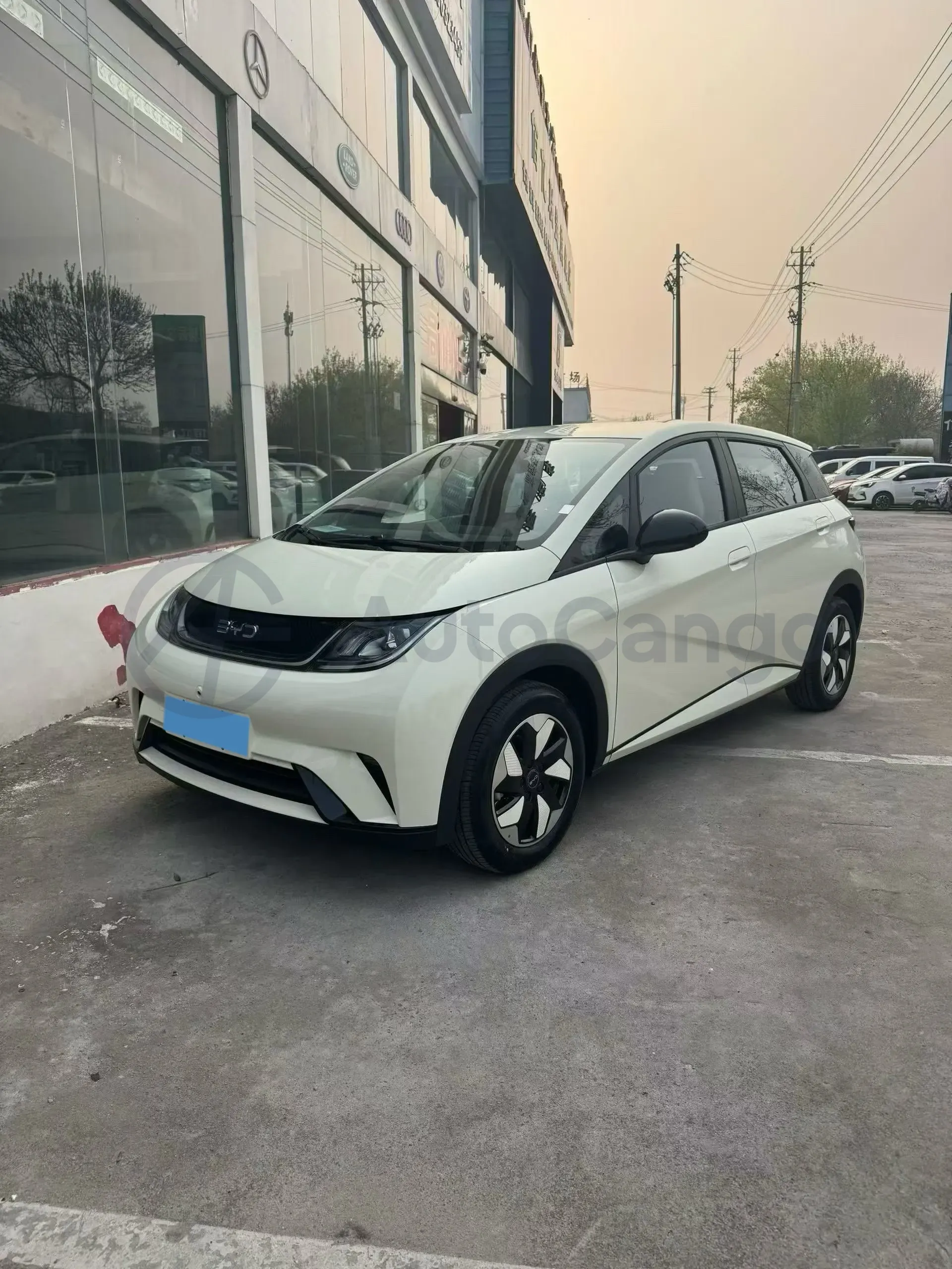 2025 BYD Dolphin BEV 44.928KWH,autocango,china used car exporter,china ev exporter,chinese used car exporter,chinese used ev exporter