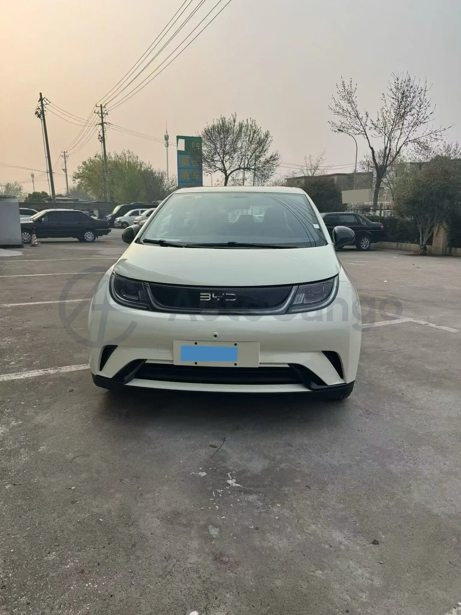 2025 BYD Dolphin BEV 44.928KWH,autocango,china used car exporter,china ev exporter,chinese used car exporter,chinese used ev exporter