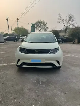 2025 BYD Dolphin BEV 44.928KWH