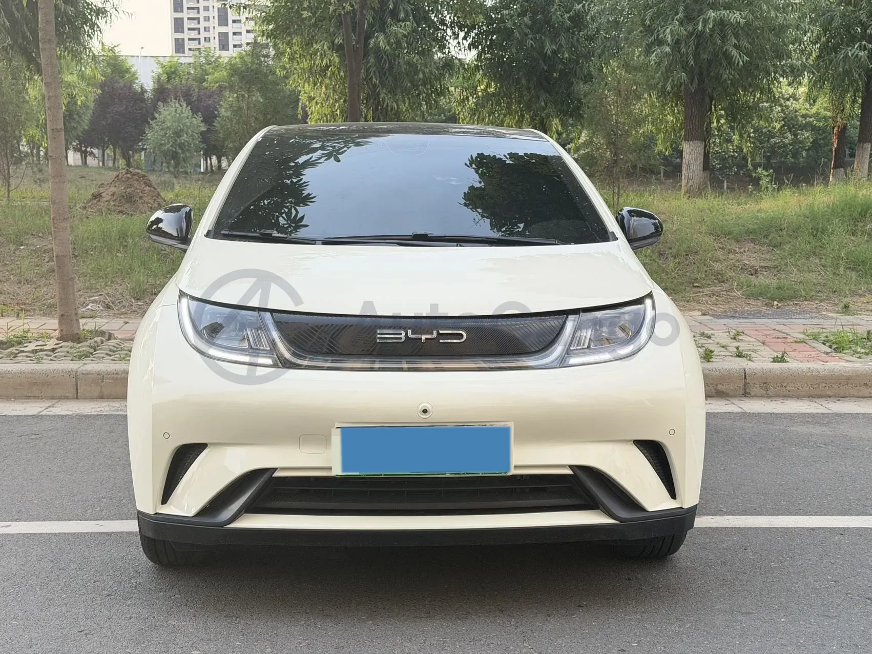 2023 BYD Dolphin BEV 44.928KWH,autocango,china used car exporter,china ev exporter,chinese used car exporter,chinese used ev exporter