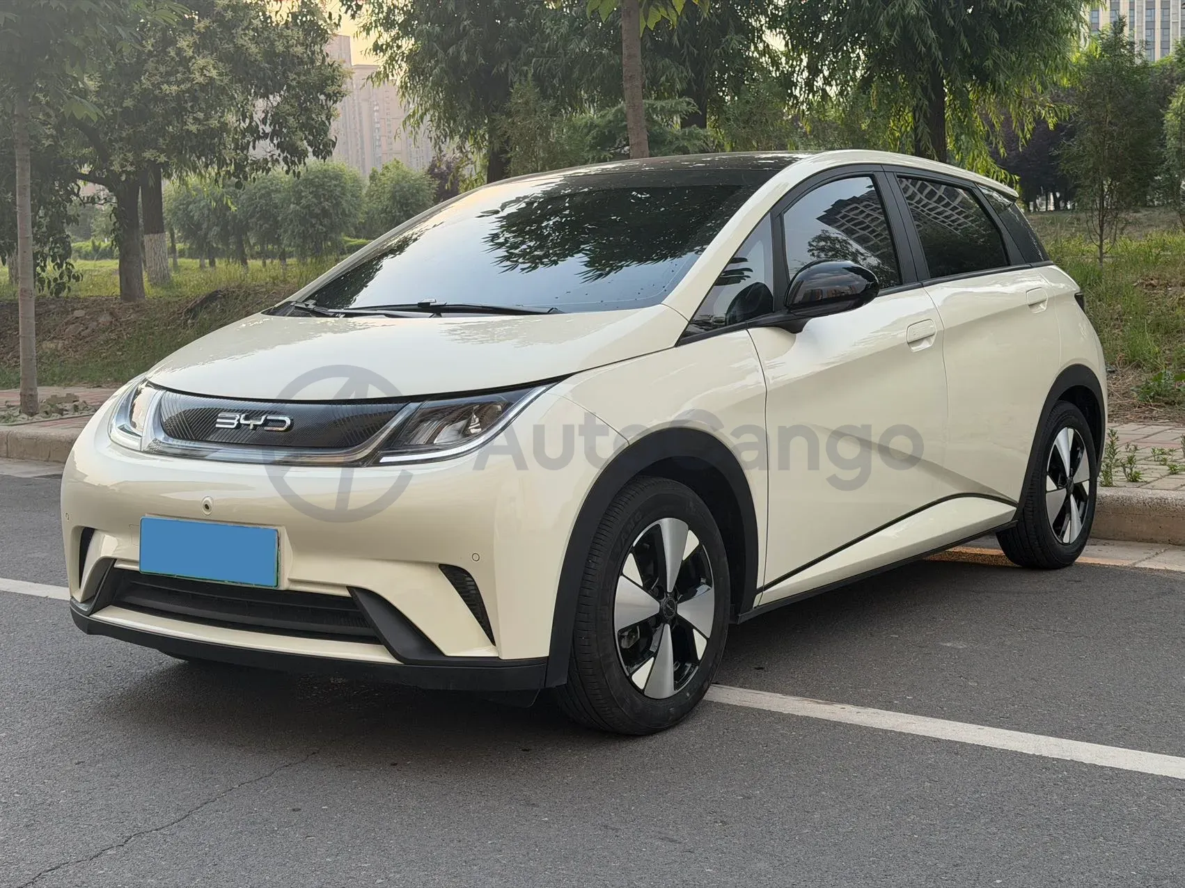 2023 BYD Dolphin BEV 44.928KWH,autocango,china used car exporter,china ev exporter,chinese used car exporter,chinese used ev exporter
