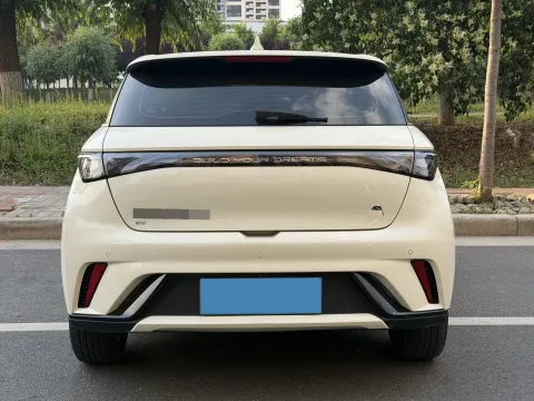 2023 BYD Dolphin BEV 44.928KWH