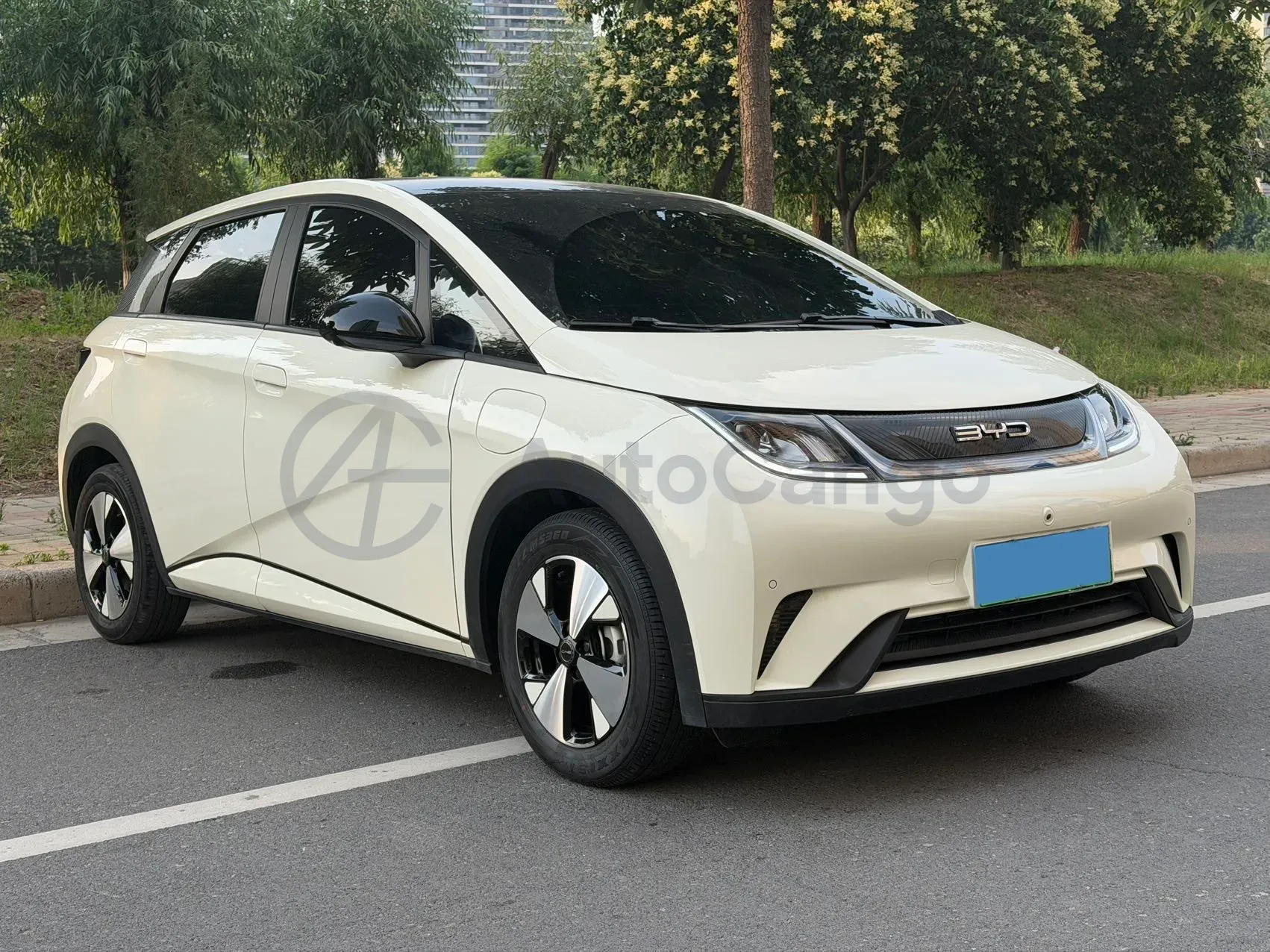 2023 BYD Dolphin BEV 44.928KWH,autocango,china used car exporter,china ev exporter,chinese used car exporter,chinese used ev exporter