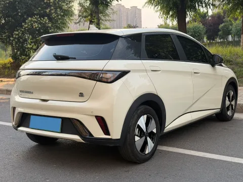 2023 BYD Dolphin BEV 44.928KWH