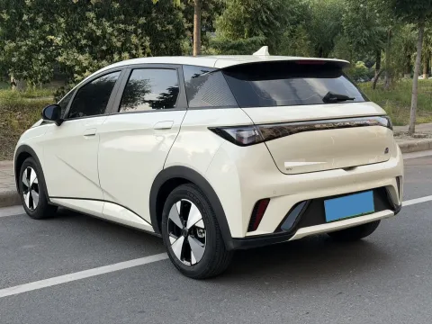 2023 BYD Dolphin BEV 44.928KWH