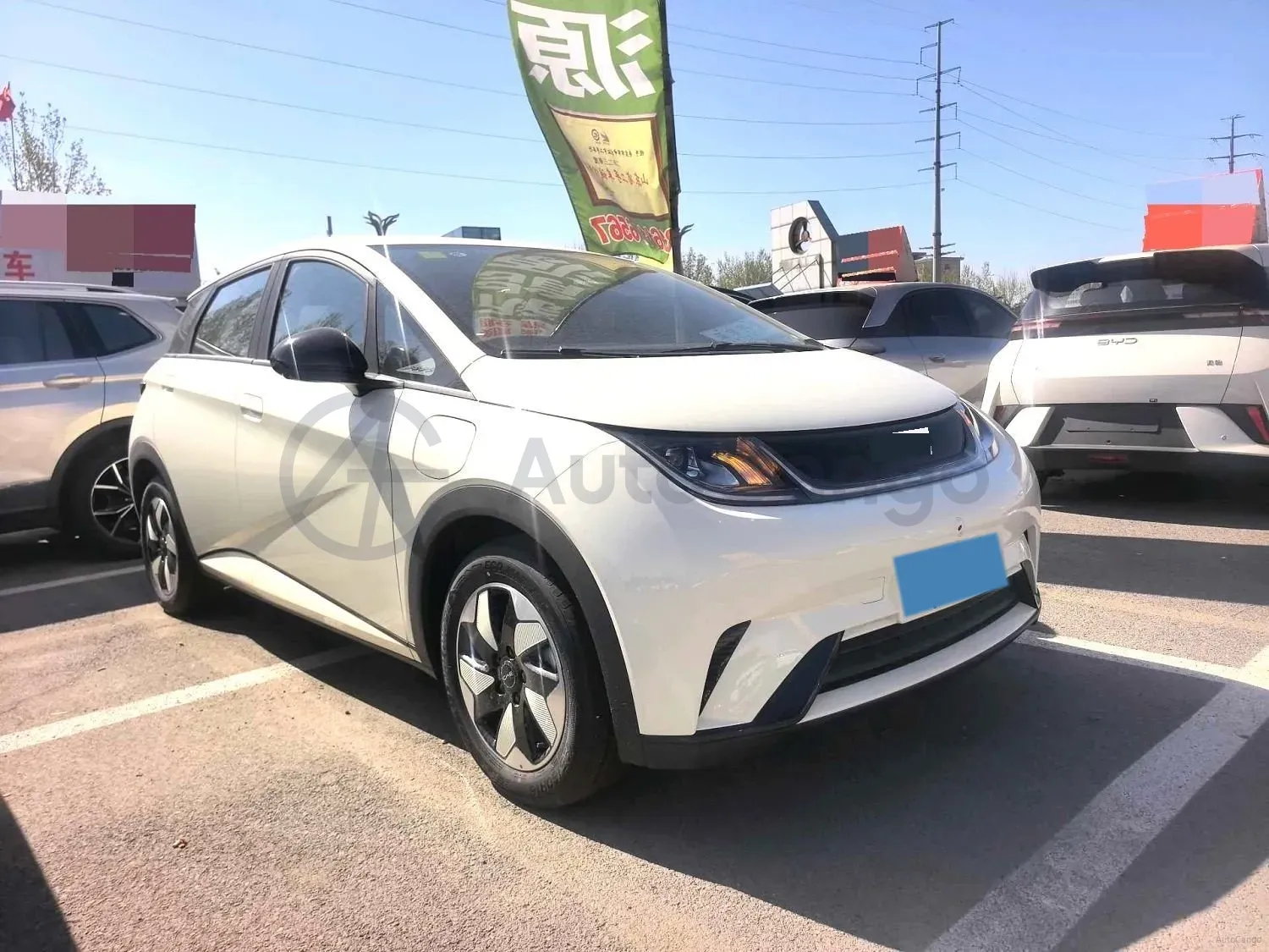 2025 BYD Dolphin BEV 44.928KWH,autocango,china used car exporter,china ev exporter,chinese used car exporter,chinese used ev exporter