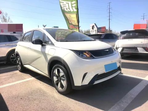 2025 BYD Dolphin BEV 44.928KWH