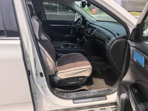 2020 GAC Trumpchi GS8 2.0T 252HP L4 6AT