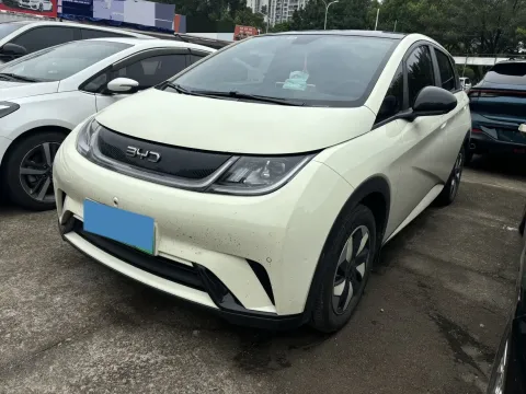2024 BYD DOLPHIN,autocango,china used car exporter,china ev exporter,chinese used car exporter,chinese used ev exporter