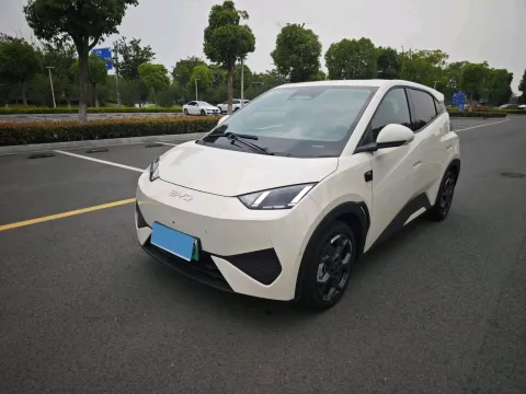 2025 BYD SEAGULL,autocango,china used car exporter,china ev exporter,chinese used car exporter,chinese used ev exporter