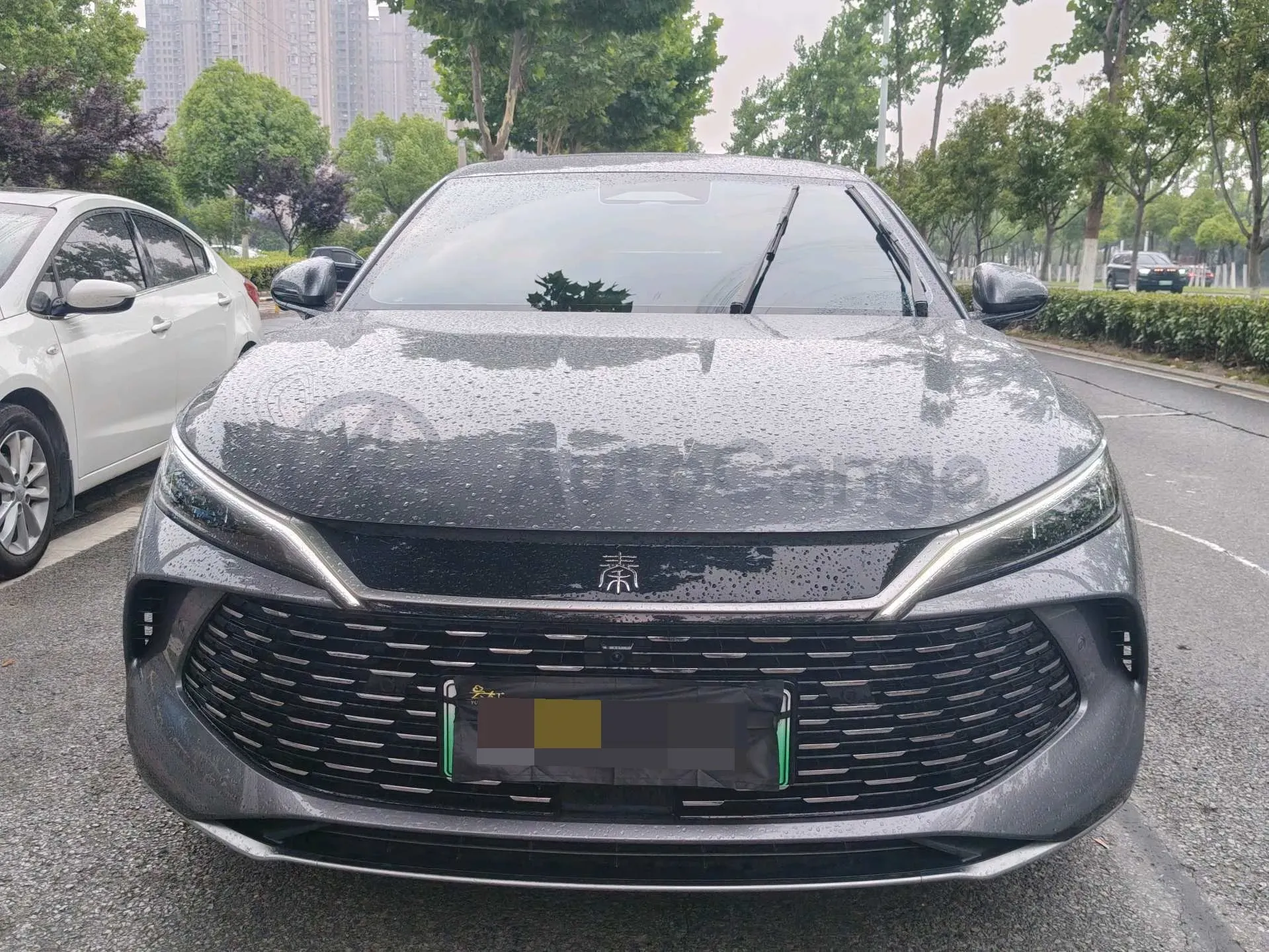 2025 BYD QinL 1.5L 101HP L4 E-CVT PHEV 10.08KWH,autocango,china used car exporter,china ev exporter,chinese used car exporter,chinese used ev exporter