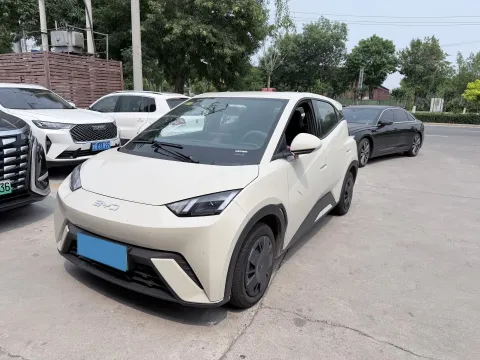 2025 BYD SEAGULL,autocango,china used car exporter,china ev exporter,chinese used car exporter,chinese used ev exporter