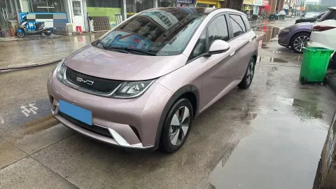 2023 BYD DOLPHIN,autocango,china used car exporter,china ev exporter,chinese used car exporter,chinese used ev exporter