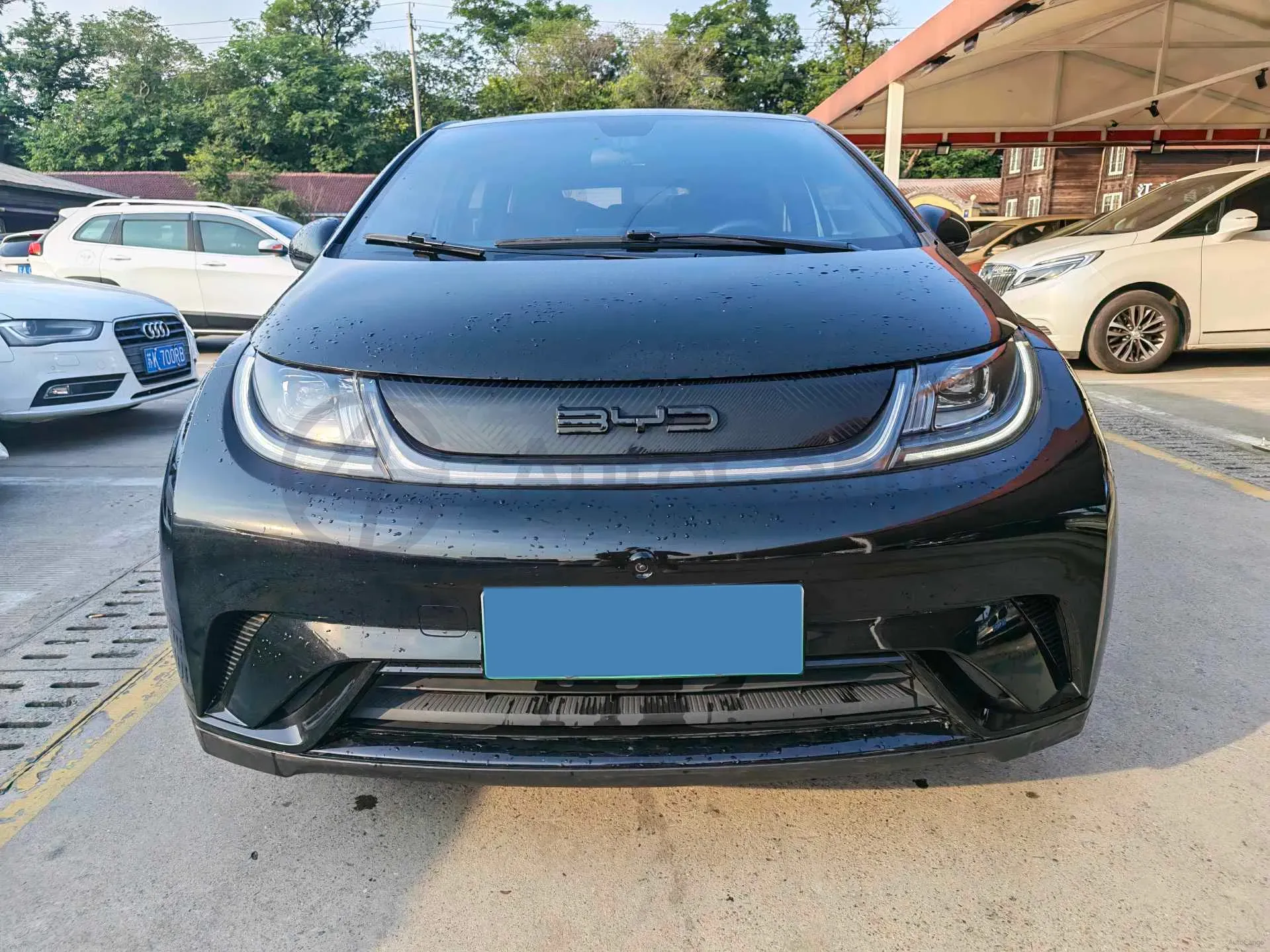 2023 BYD Dolphin BEV 44.928KWH,autocango,china used car exporter,china ev exporter,chinese used car exporter,chinese used ev exporter