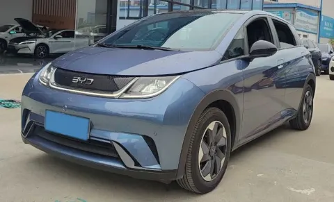 BYD