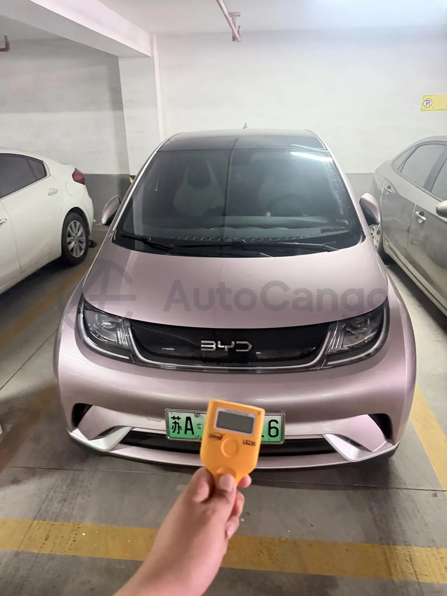 2024 BYD Dolphin BEV 44.928KWH,autocango,china used car exporter,china ev exporter,chinese used car exporter,chinese used ev exporter