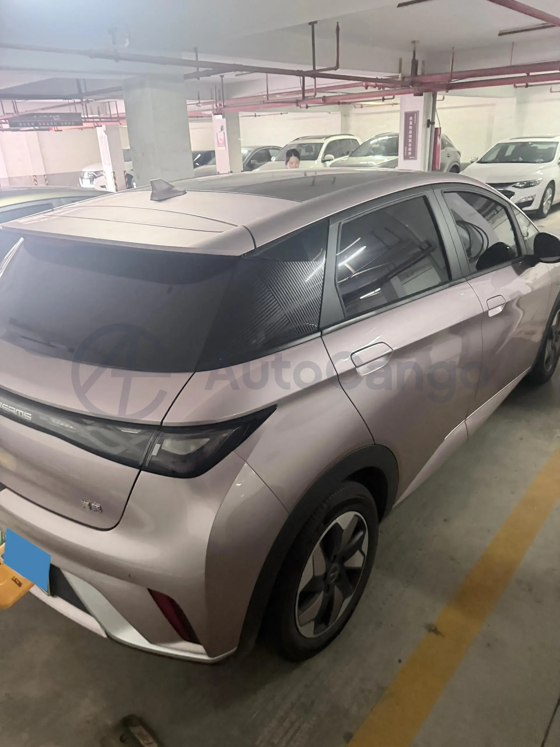 2024 BYD Dolphin BEV 44.928KWH,autocango,china used car exporter,china ev exporter,chinese used car exporter,chinese used ev exporter