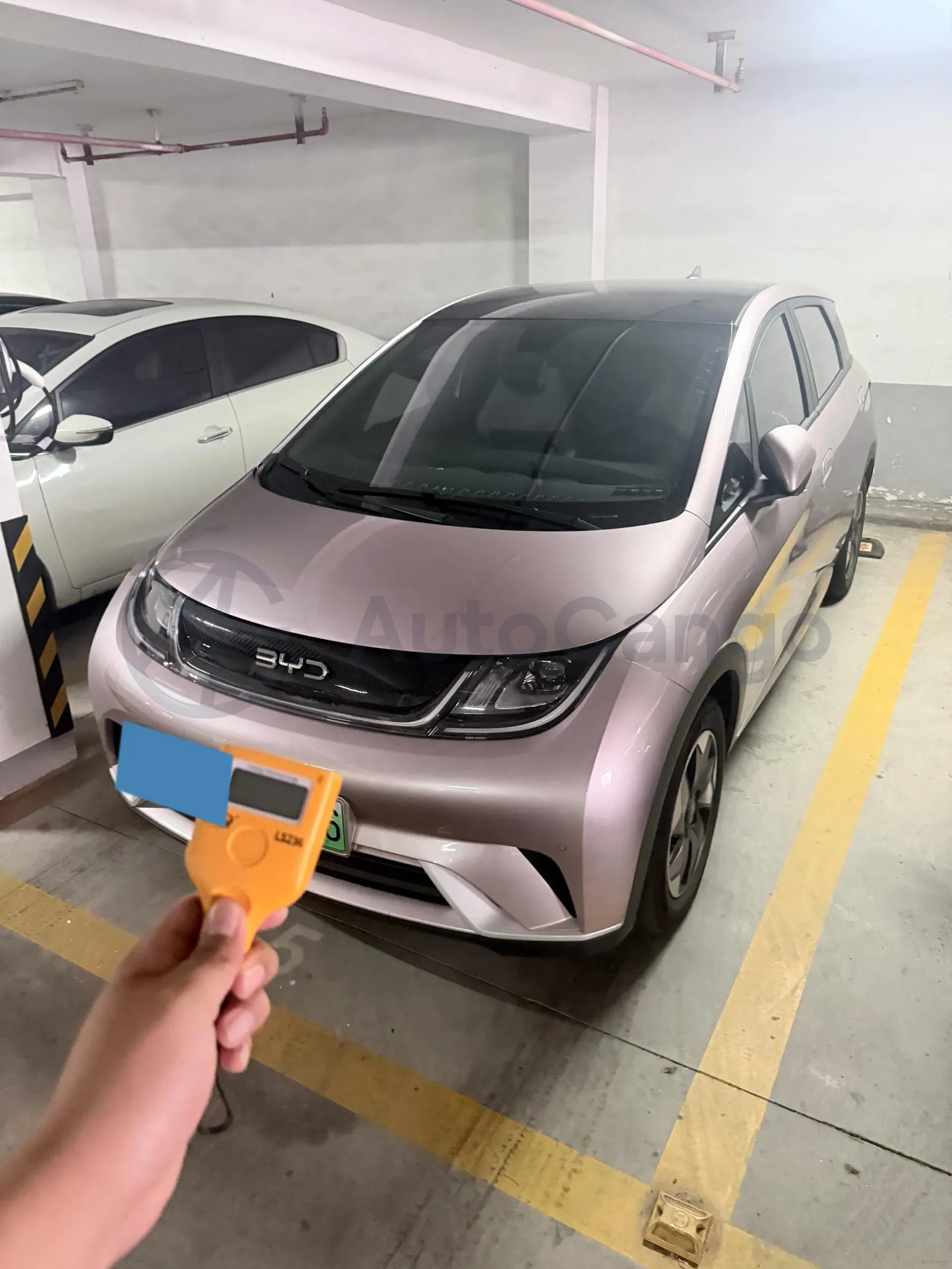 2024 BYD Dolphin BEV 44.928KWH,autocango,china used car exporter,china ev exporter,chinese used car exporter,chinese used ev exporter