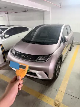 2024 BYD DOLPHIN,autocango,china used car exporter,china ev exporter,chinese used car exporter,chinese used ev exporter