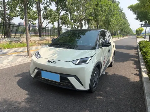 2025 BYD SEAGULL,autocango,china used car exporter,china ev exporter,chinese used car exporter,chinese used ev exporter