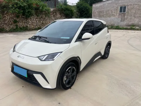 2023 BYD SEAGULL,autocango,china used car exporter,china ev exporter,chinese used car exporter,chinese used ev exporter