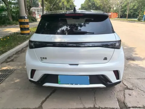 2023 BYD Dolphin BEV 44.928KWH