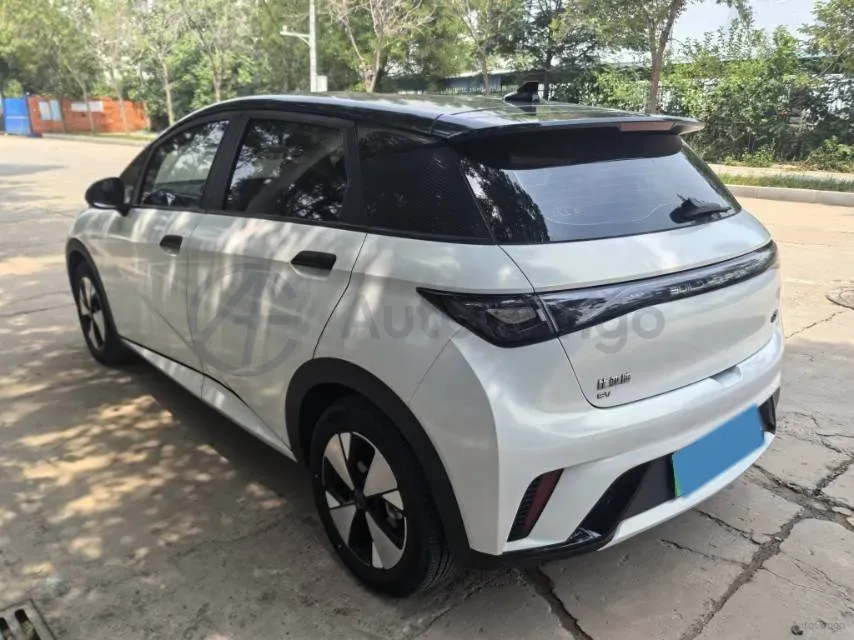 2023 BYD Dolphin BEV 44.928KWH,autocango,china used car exporter,china ev exporter,chinese used car exporter,chinese used ev exporter