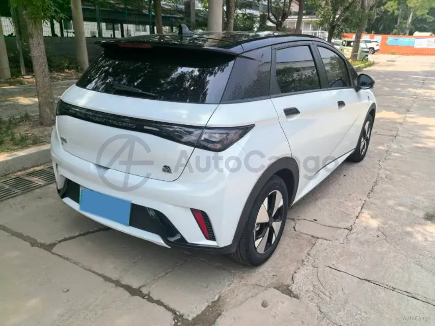 2023 BYD Dolphin BEV 44.928KWH,autocango,china used car exporter,china ev exporter,chinese used car exporter,chinese used ev exporter